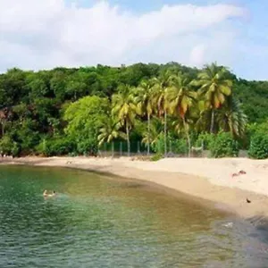 https://le-moringa.comcaribbean.com